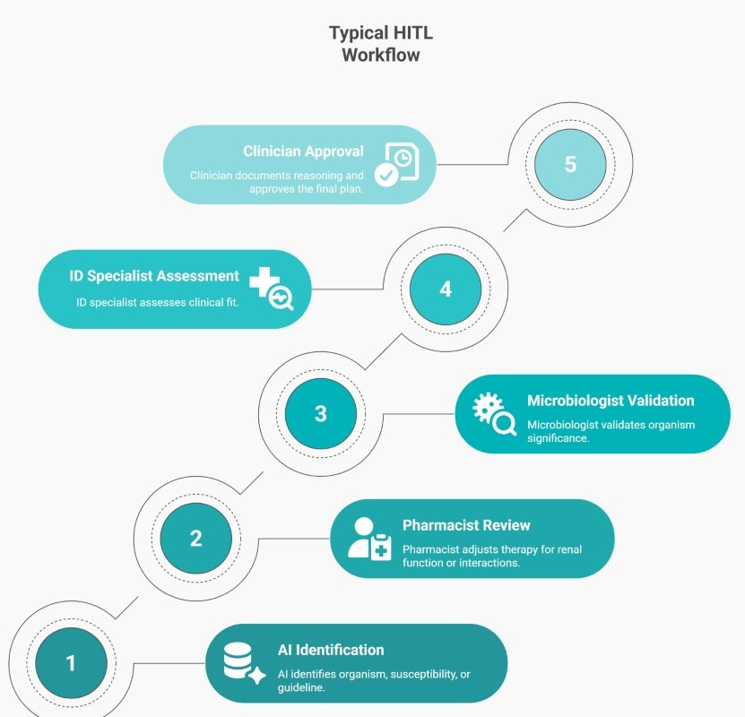 Infographic showing a typical human-in-the-loop workflow for AI in antimicrobial stewardship, including AI identification, pharmacist review, microbiologist validation, ID specialist assessment, and clinician approval.