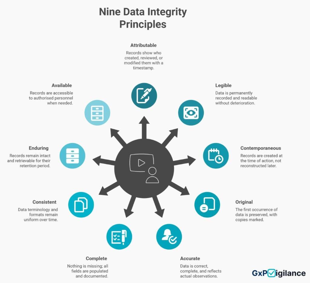 Infographic illustrating the nine ALCOA+ data integrity principles: Attributable, Legible, Contemporaneous, Original, Accurate, Complete, Consistent, Enduring, and Available.