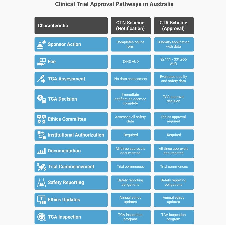 Table comparing CTN and CTA clinical trial approval pathways in Australia, showing differences in sponsor actions, fees, assessments, ethics review, documentation, trial commencement, and safety reporting.