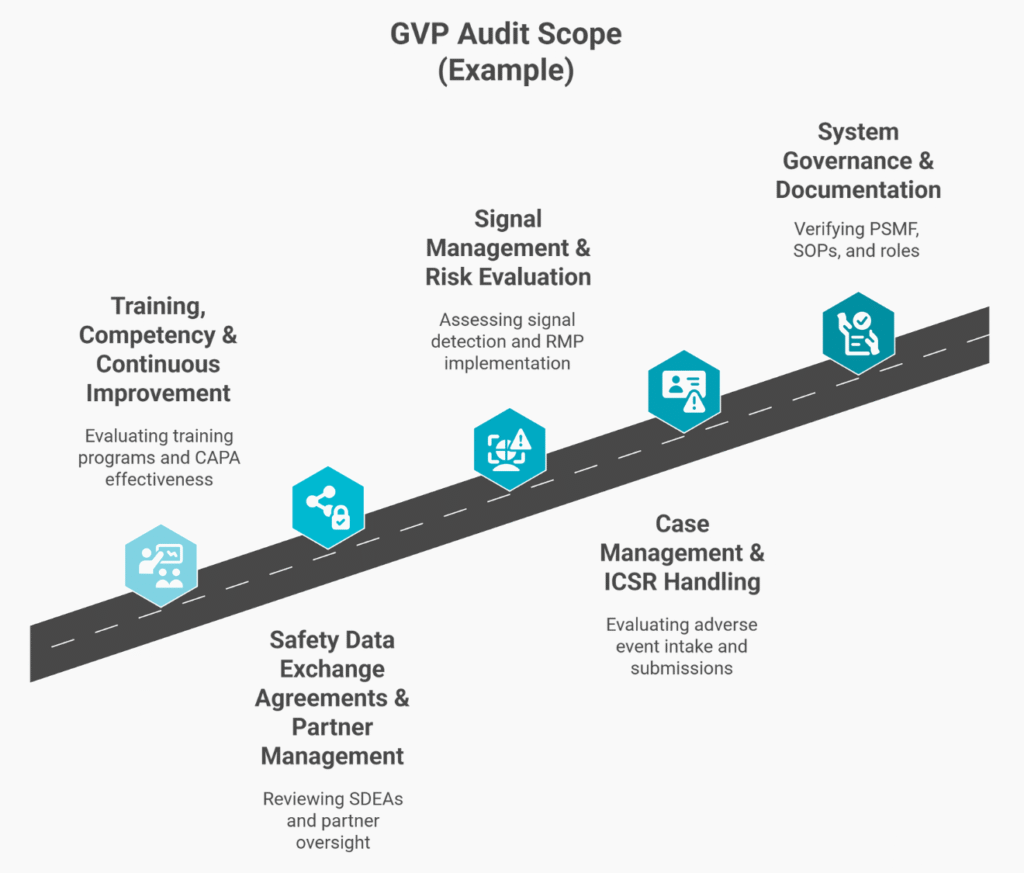 Illustration of GVP audit scope showing five core audit areas: training, SDEAs, signal management, case management, and system governance.